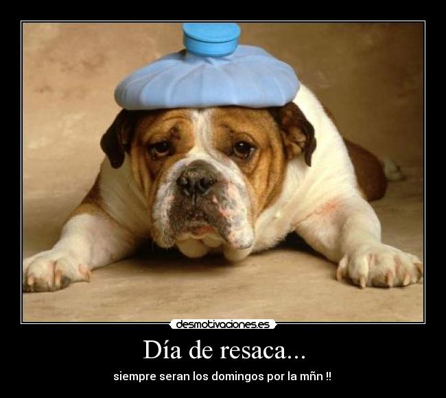 Día de resaca... -