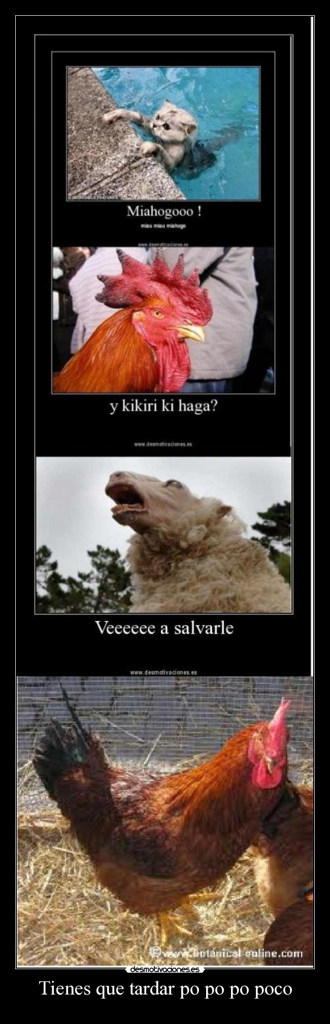 Tienes que tardar po po po poco -