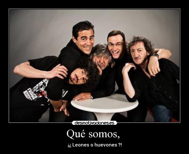 Qué somos, - ¡¿ Leones o huevones ?!