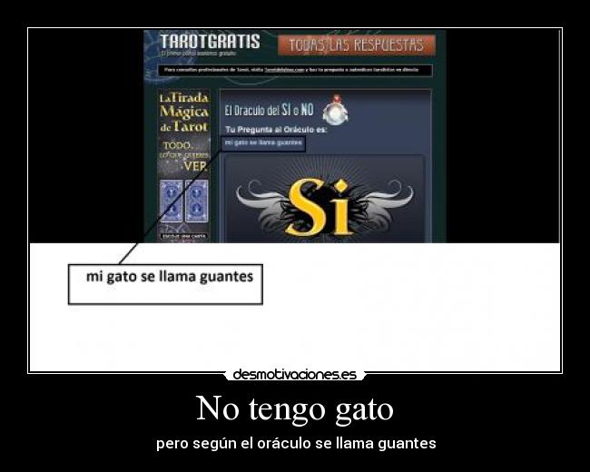 No tengo gato - pero según el oráculo se llama guantes