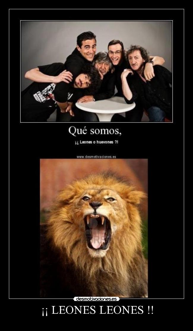 ¡¡ LEONES LEONES !! -