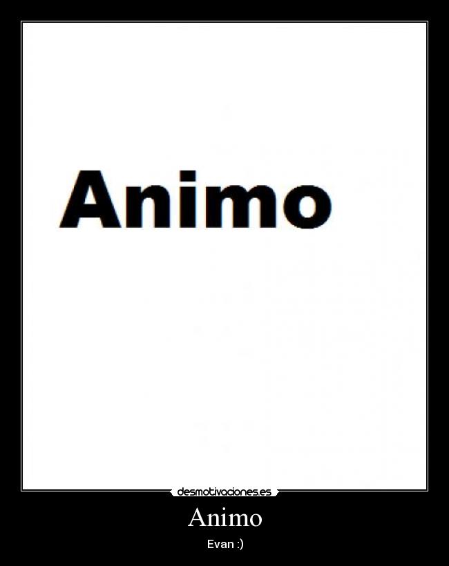 Animo - 