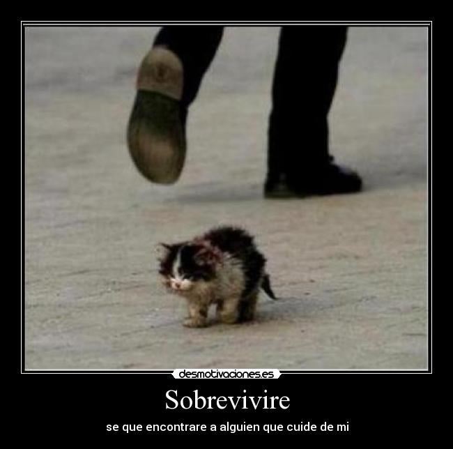 Sobrevivire -