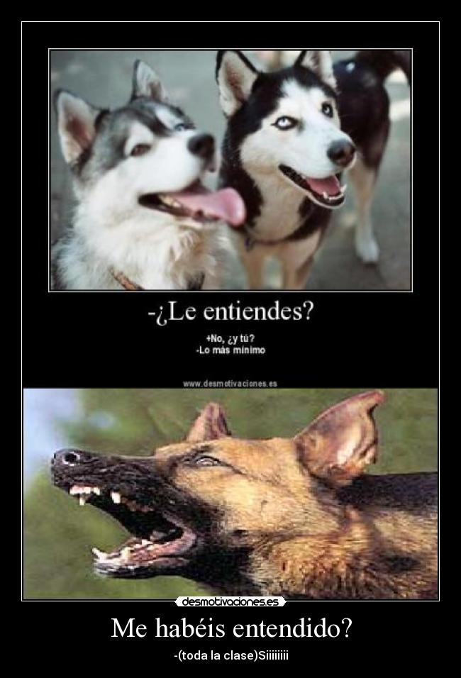 Me habéis entendido? -