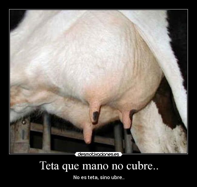 Teta que mano no cubre.. - 