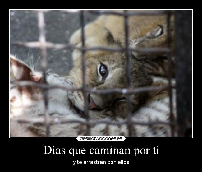 Días que caminan por ti - 