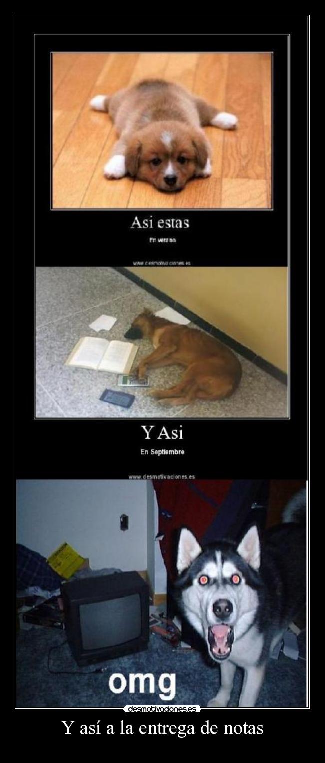 Y así a la entrega de notas -