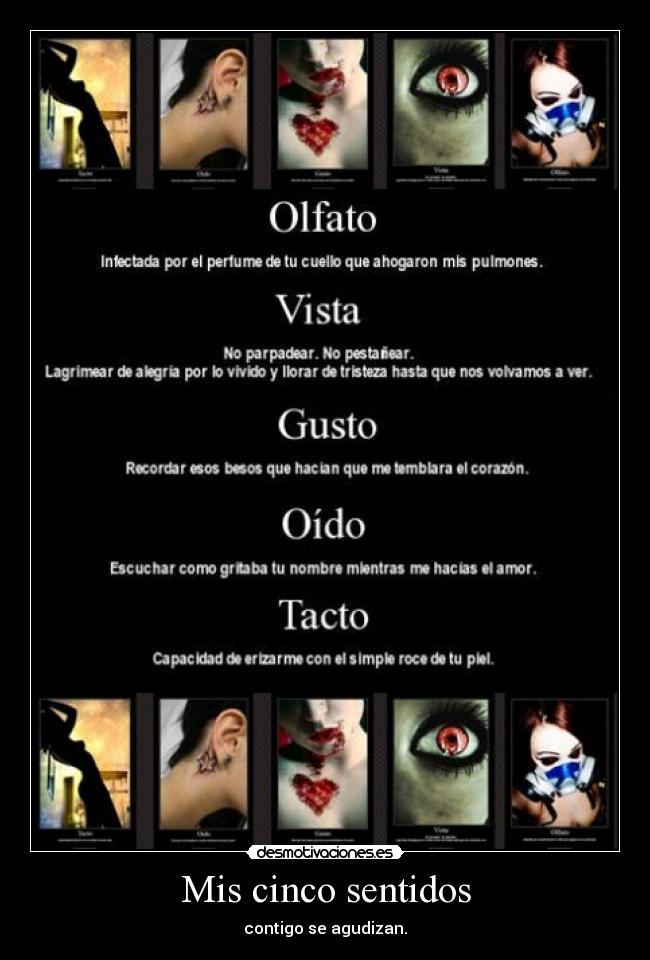 carteles cinco sentidos desmotivaciones