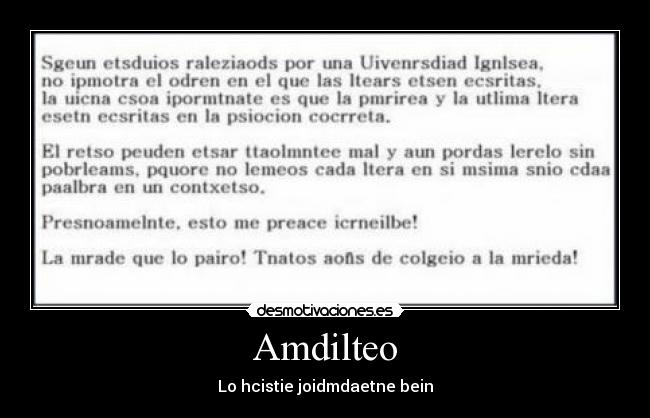 Amdilteo - Lo hcistie joidmdaetne bein
