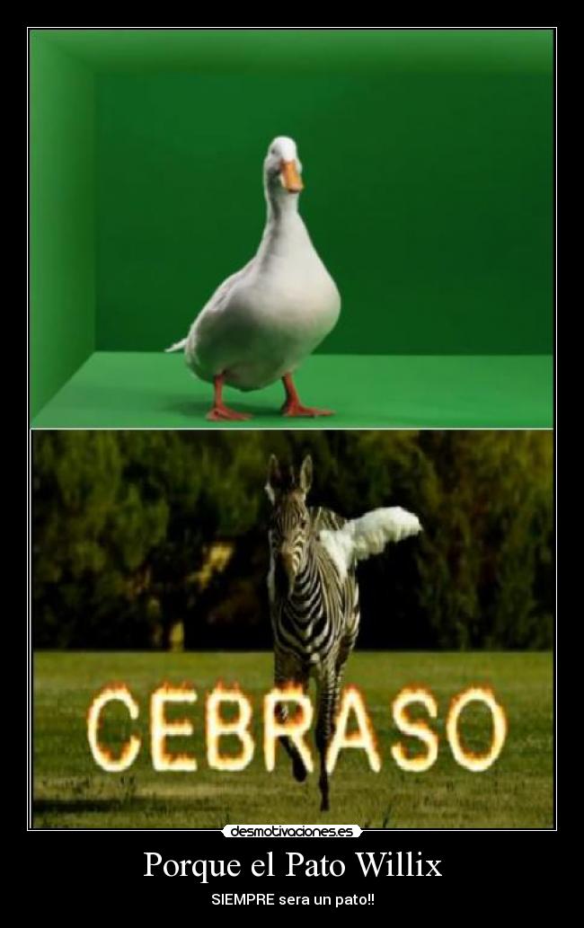 Porque el Pato Willix - 