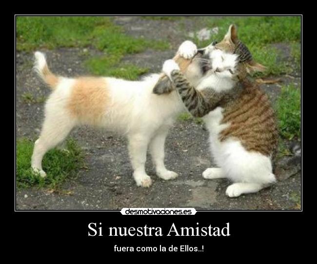 Si nuestra Amistad -