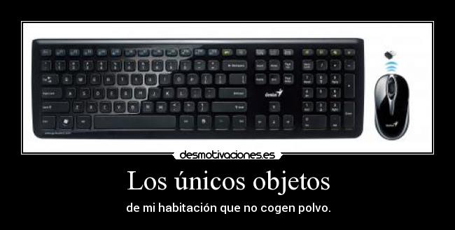 Los únicos objetos -