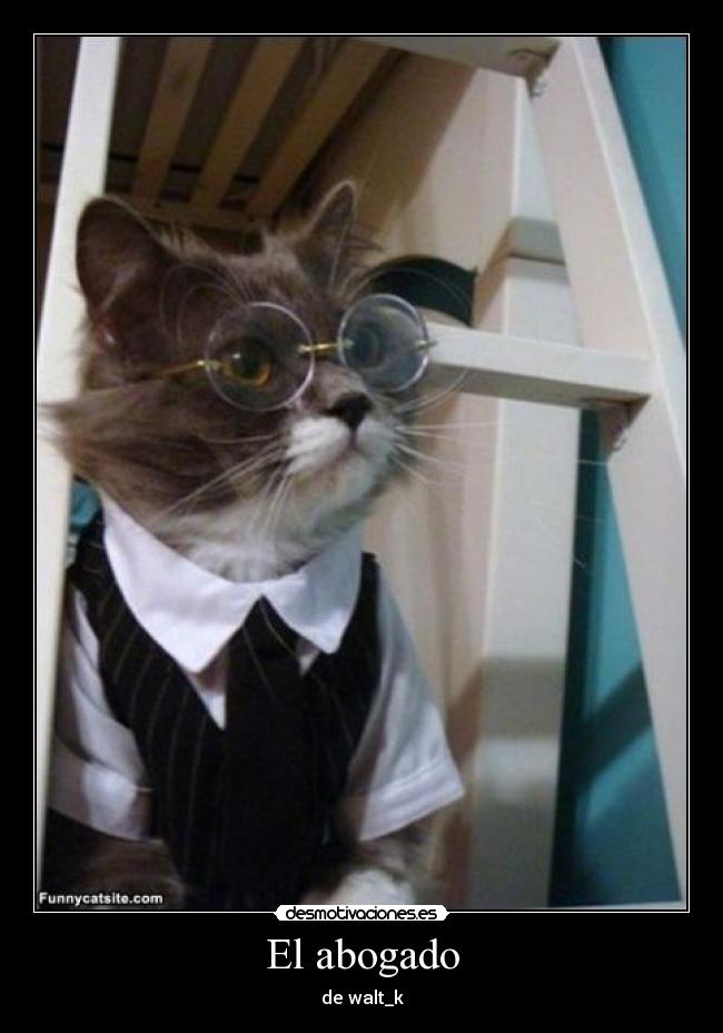 El abogado - de walt_k