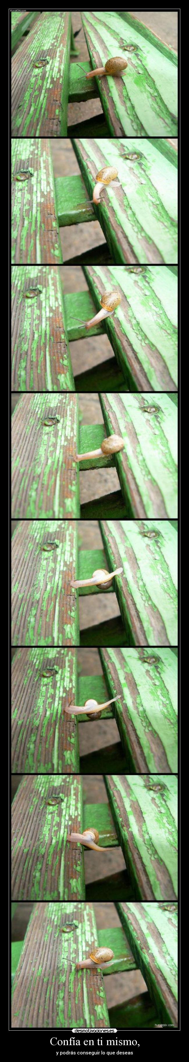 Confía en ti mismo, -