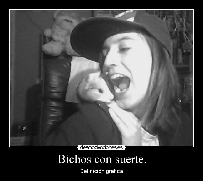 Bichos con suerte. - Definición grafica