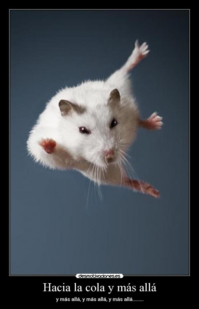 Hacia la cola y más allá - y más allá, y más allá, y más allá.........