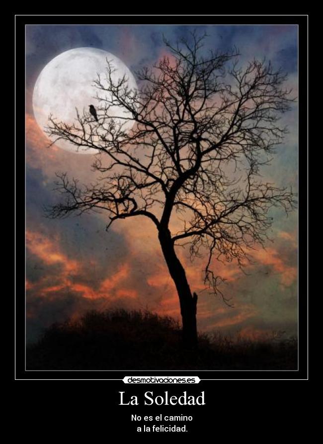 La Soledad - No es el camino
a la felicidad.