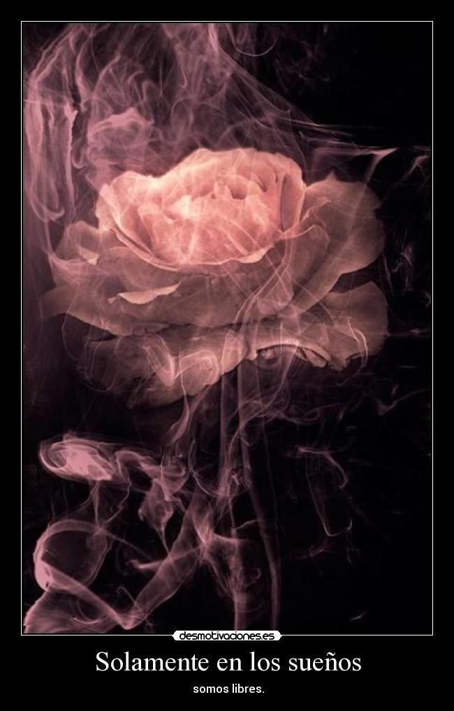Solamente en los sueños -