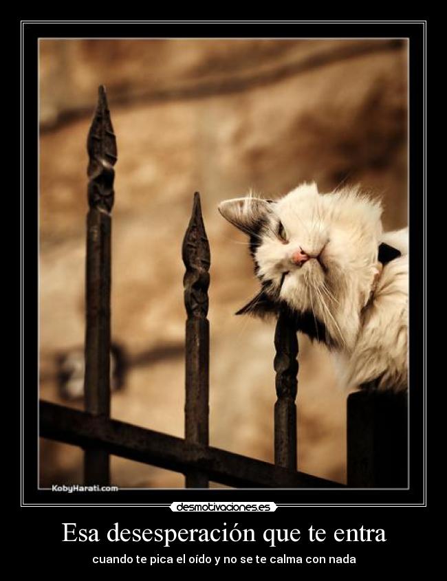 Esa desesperación que te entra - cuando te pica el oído y no se te calma con nada