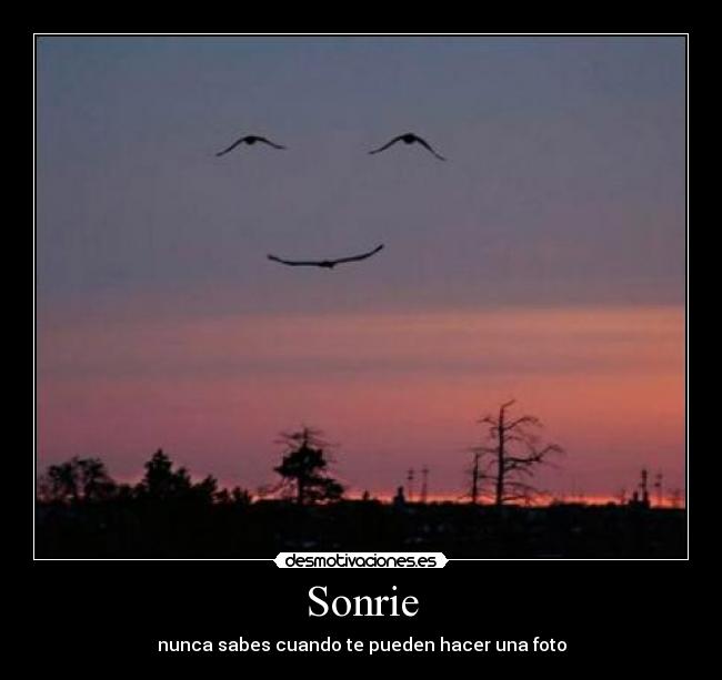 Sonrie - 