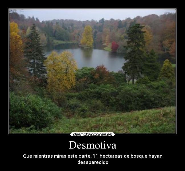 carteles bosques desmotivaciones