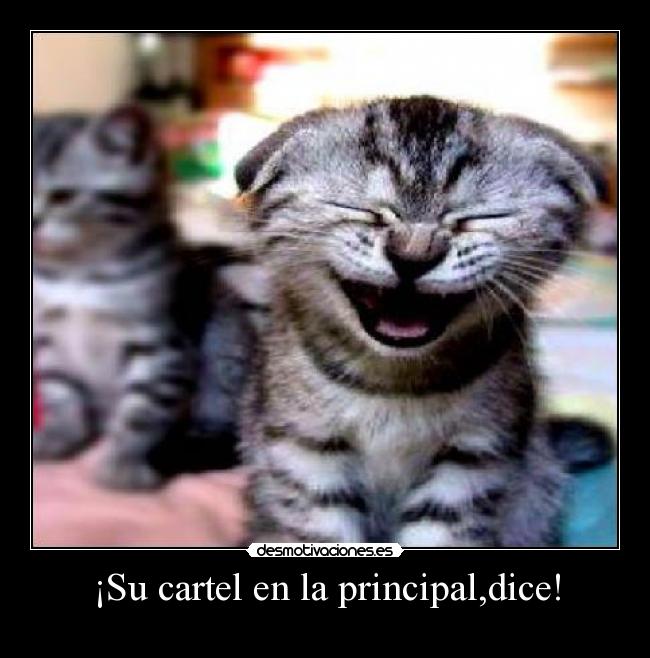 ¡Su cartel en la principal,dice! -