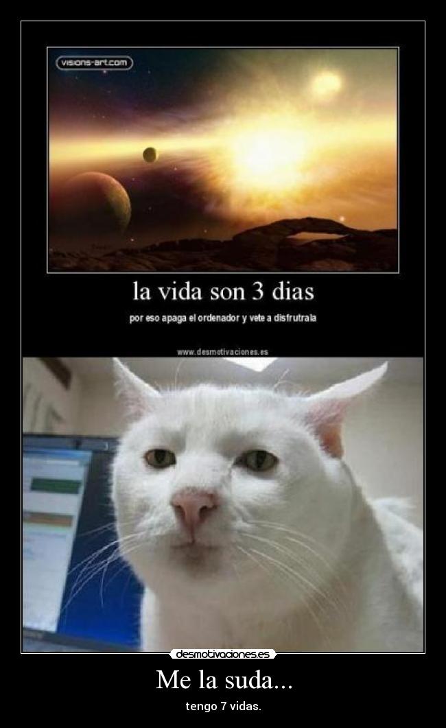 Me la suda... - tengo 7 vidas.