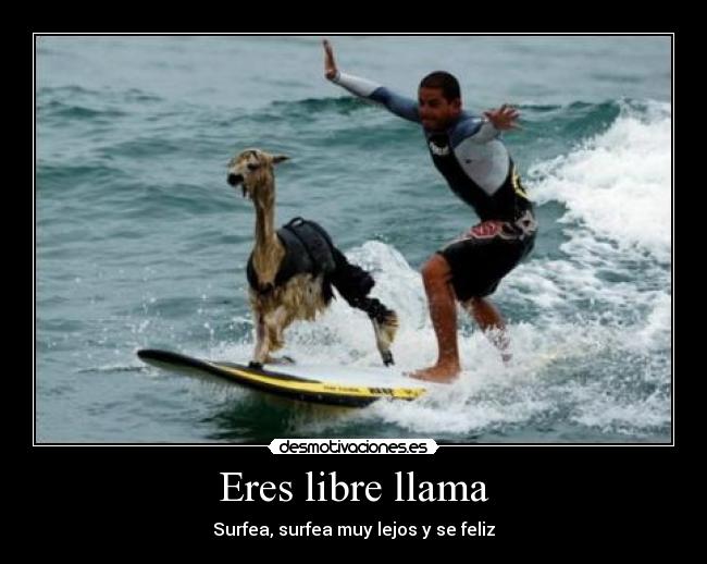 Eres libre llama - Surfea, surfea muy lejos y se feliz
