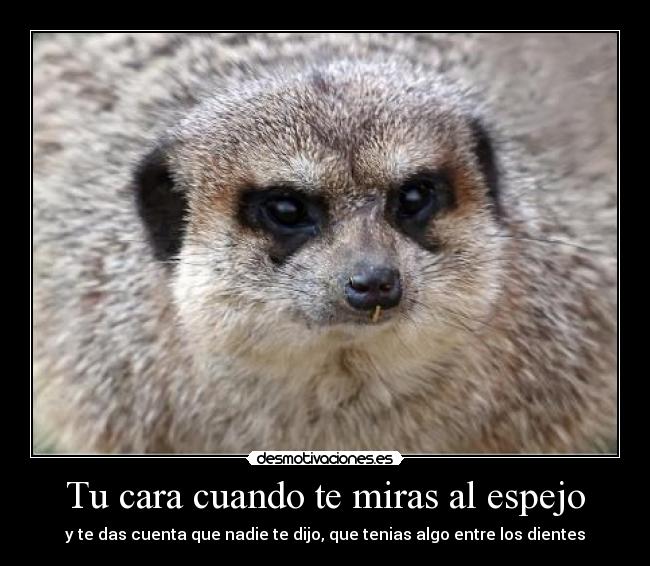 Tu cara cuando te miras al espejo - 