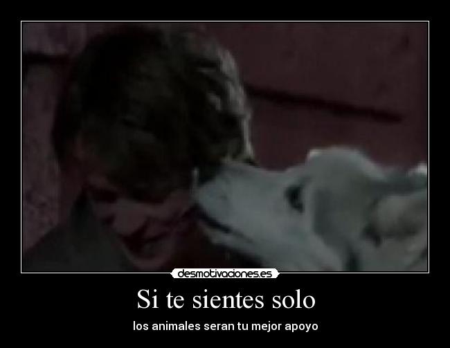 Si te sientes solo -