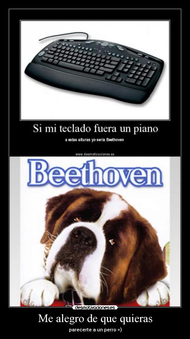 Me alegro de que quieras -