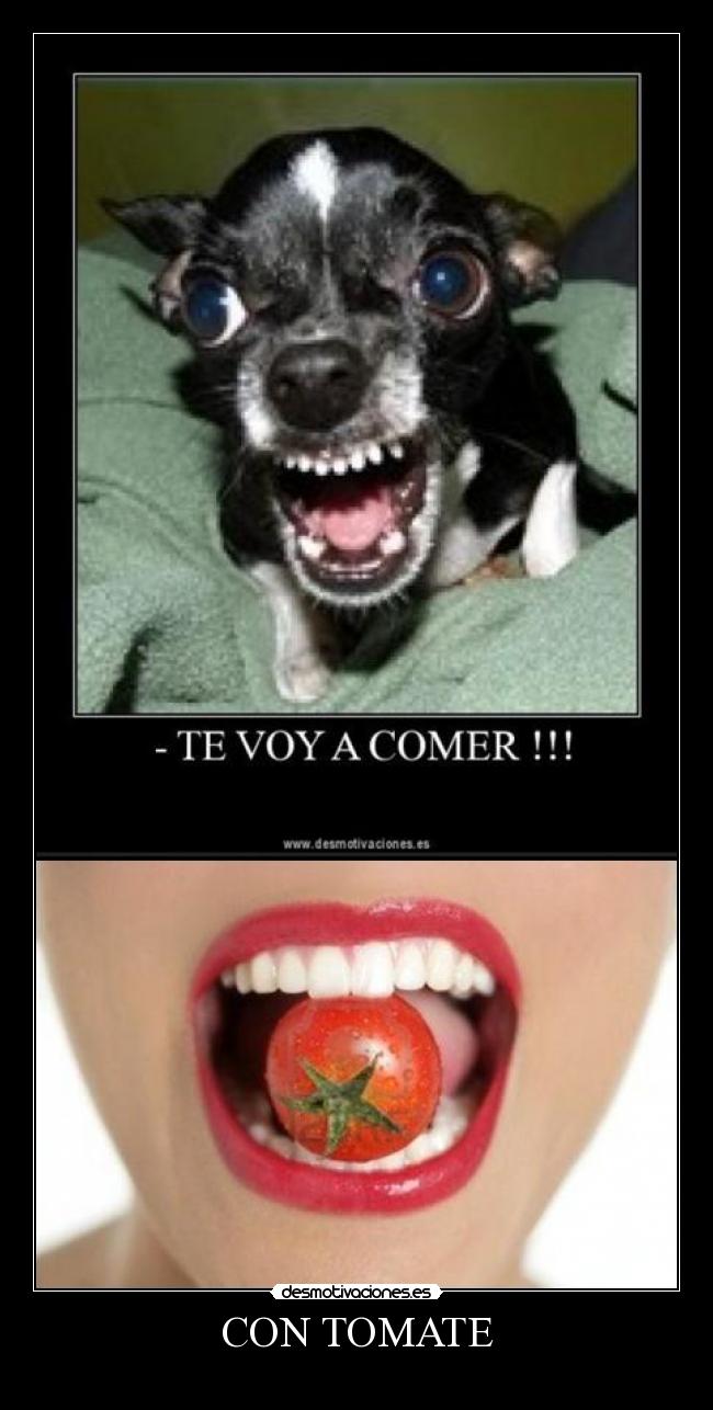 CON TOMATE -