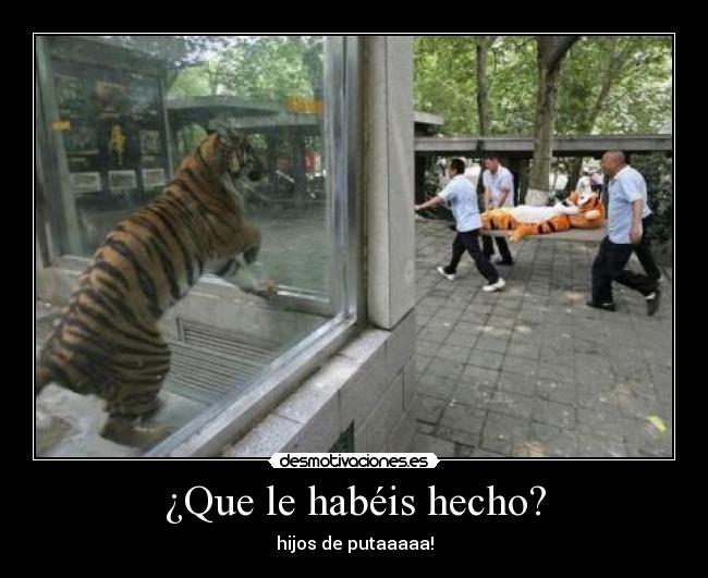 ¿Que le habéis hecho? - hijos de putaaaaa!