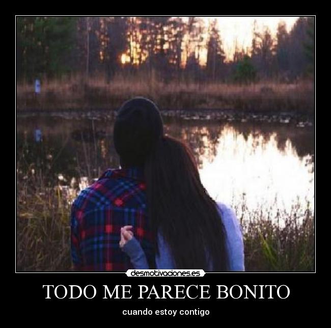 TODO ME PARECE BONITO - 