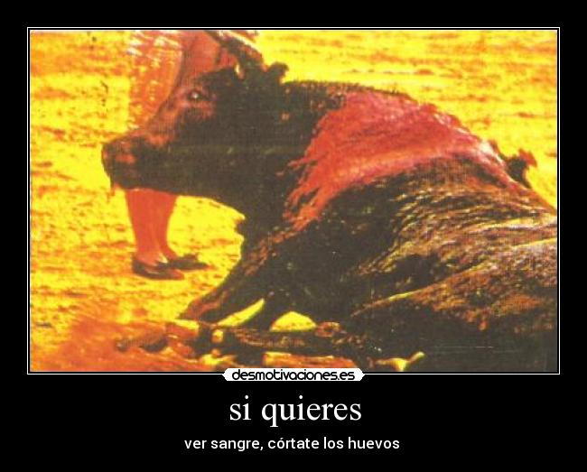 si quieres - ver sangre, córtate los huevos