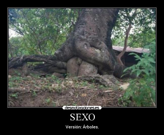 SEXO -