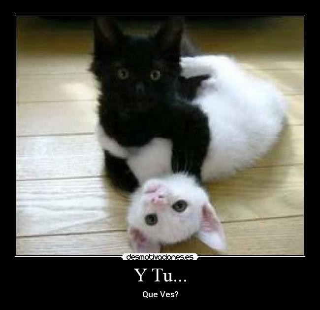 Y Tu... - Que Ves?