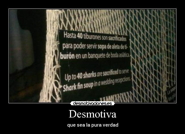 Desmotiva - que sea la pura verdad