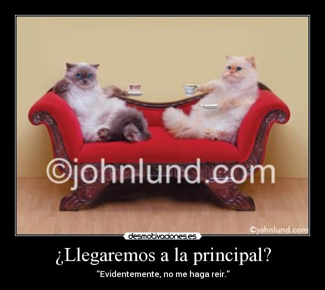 ¿Llegaremos a la principal? - Evidentemente, no me haga reir.