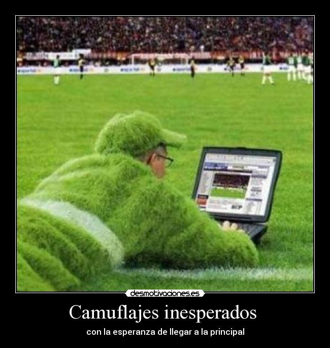 Camuflajes inesperados -