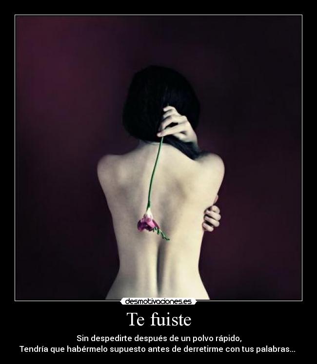 carteles fuiste desmotivaciones