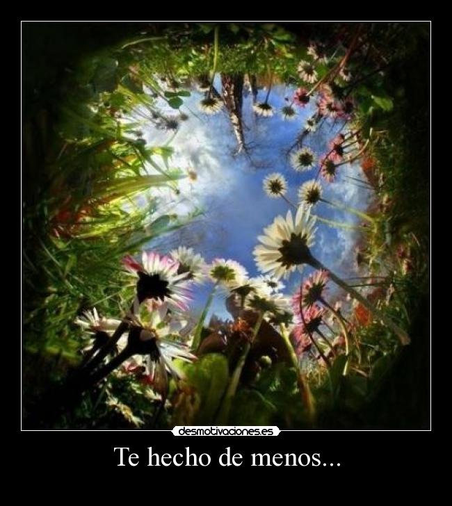 carteles quiero desmotivaciones