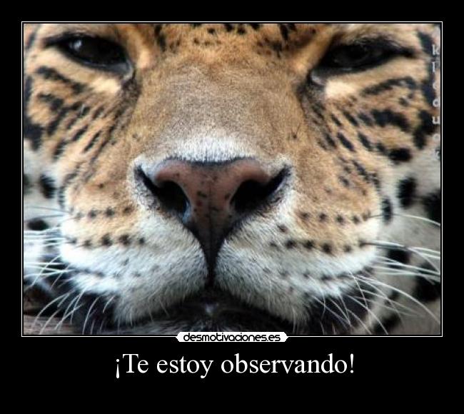 ¡Te estoy observando! -