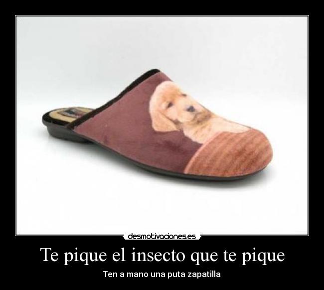 Te pique el insecto que te pique -