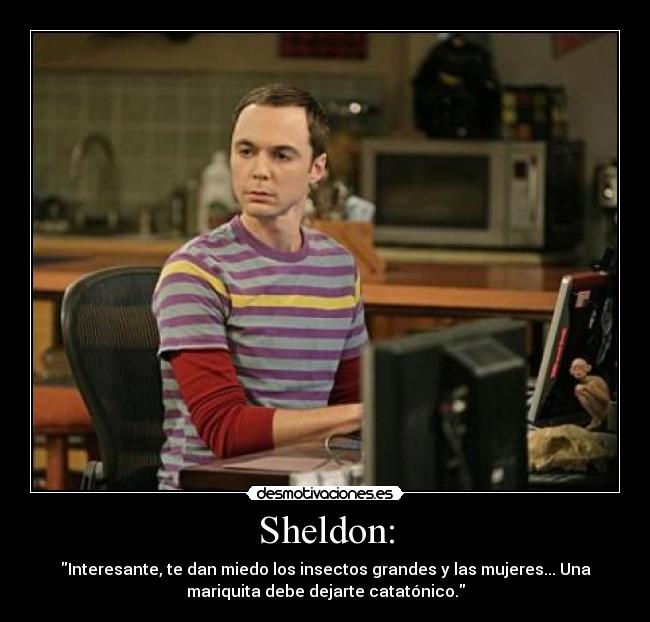 Sheldon: - Interesante, te dan miedo los insectos grandes y las mujeres... Una
mariquita debe dejarte catatónico.