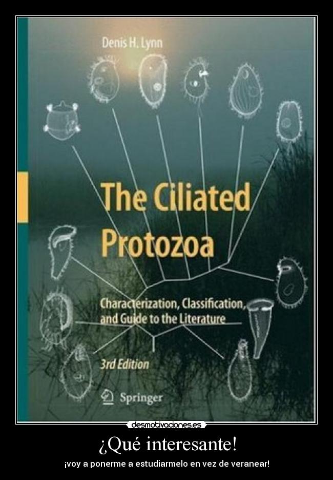 ¿Qué interesante! - ¡voy a ponerme a estudiarmelo en vez de veranear!