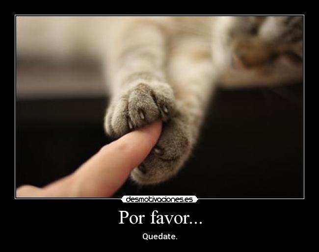Por favor... - Quedate.
