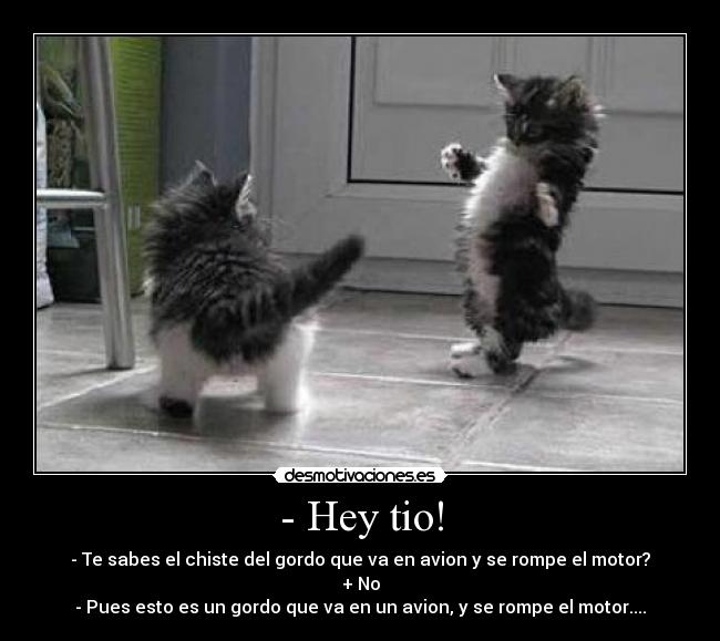 carteles sanny desmotivaciones