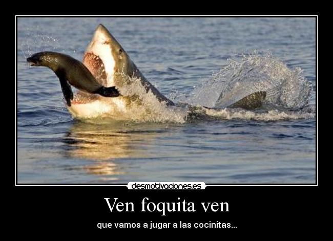 Ven foquita ven - que vamos a jugar a las cocinitas...