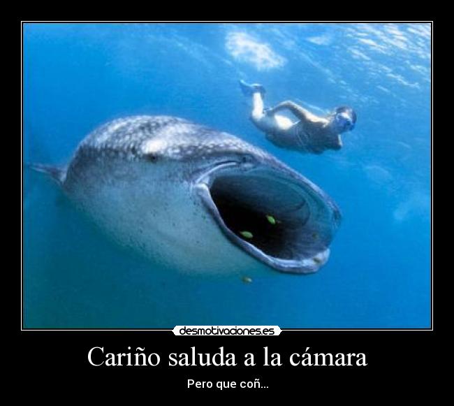 Cariño saluda a la cámara - Pero que coñ...